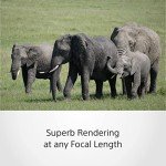Sony E 70-350mm f/4.5-6.3 G OSS Lens