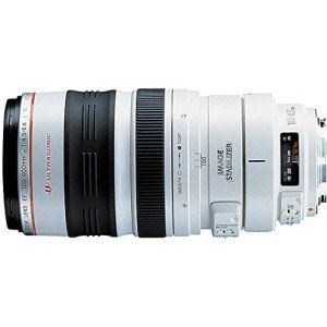 Canon EF 100-400mm f/4.5-5.6L Telephoto Zoom Lens