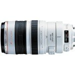Canon EF 100-400mm f/4.5-5.6L Telephoto Zoom Lens