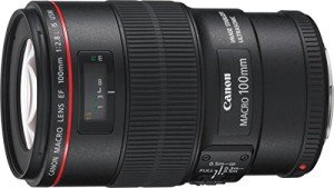 Canon EF 100mm f/2.8L Macro IS Lens