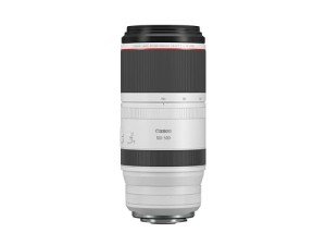 Canon RF 100-500mm Telephoto Zoom Lens