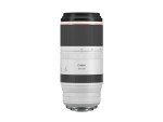 Canon RF 100-500mm Telephoto Zoom Lens