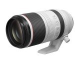 Canon RF 100-500mm Telephoto Zoom Lens