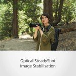 Sony E 70-350mm f/4.5-6.3 G OSS Lens