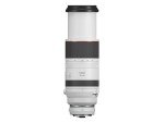 Canon RF 100-500mm Telephoto Zoom Lens