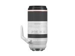 Canon RF 100-500mm Telephoto Zoom Lens