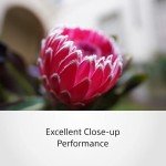Sony FE 20mm F1.8 G Ultra-Wide Lens