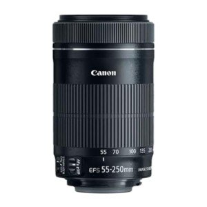Canon EF-S 55-250mm STM Lens for SLRs