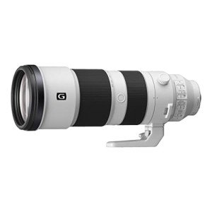 Sony 200-600mm Super Telephoto Zoom G Lens