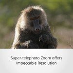 Sony 200-600mm Super Telephoto Zoom G Lens
