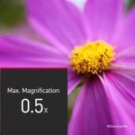 Panasonic Lumix 28-200mm F4-7.1 Macro Lens