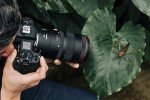 Canon RF 100mm F2.8L Macro Lens for R Series