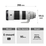 Sony 200-600mm Super Telephoto Zoom G Lens