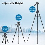 JOILCAN 67-Inch Phone Tripod with Remote & Holder