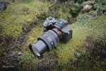 Sony FE 20-70mm F4 G Full-Frame Zoom Lens