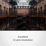 Sony E 16-55mm f/2.8 G Zoom Lens