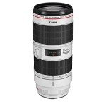 Canon EF 85mm f/1.4L IS USM Lens