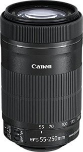 Canon EF-S 55-250mm IS STM Telephoto Lens