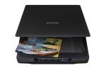 Epson V39 II Flatbed Photo and Document Scanner