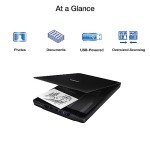 Epson V39 II Flatbed Photo and Document Scanner