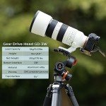 K&F Concept 360° Panoramic Tripod Head