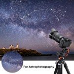 K&F Concept 360° Panoramic Tripod Head