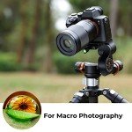 K&F Concept 360° Panoramic Tripod Head