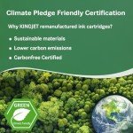 KINGJET 304 Ink Cartridges Combo Pack for HP