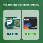 KINGJET 304 Ink Cartridges Combo Pack for HP