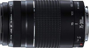 Canon EF 75-300mm f/4-5.6 III Lens
