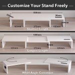 BONTEC Adjustable Dual Monitor Stand with Phone Holder