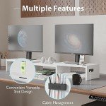BONTEC Adjustable Dual Monitor Stand with Phone Holder