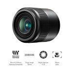 Panasonic LUMIX 30mm Macro Lens - Black