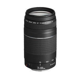 Canon EF 75-300mm f/4-5.6 III Zoom Lens