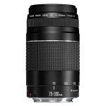 Canon EF 75-300mm f/4-5.6 III Zoom Lens