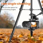Nineigh 75'' Lightweight Tripod for Cameras & Smartphones