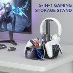 KDD Dual Game Controller Stand and Organizer