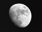 JINTU 500mm/1000mm f/8 Telephoto Lens Kit