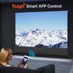 Motorized 100" ALR Projector Screen with Matte Surface