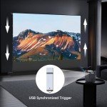 Motorized 100" ALR Projector Screen with Matte Surface