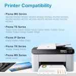 PG-545 & CL-546 Reman Ink Cartridges - 2 Pack