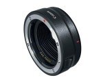 Canon EOS R with RF 24-105mm f/4 Lens