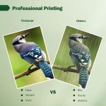 Firstoner PG-575XL CL-576XL Printer Cartridges Multipack