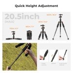 K&F Concept Compact 360° Ball Head Tripod