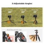 K&F Concept Compact 360° Ball Head Tripod