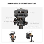 K&F Concept Compact 360° Ball Head Tripod