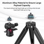SMALLRIG Mini Tripod with 360° Ball Head
