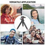 SMALLRIG Mini Tripod with 360° Ball Head