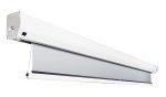 Celexon 120” Motorized Projector Screen 4K 16:9