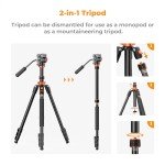 K&F Concept 83" Aluminum DSLR Tripod with Fluid Head